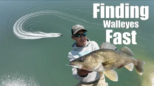 Finding Walleyes Fast