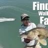Finding Walleyes Fast