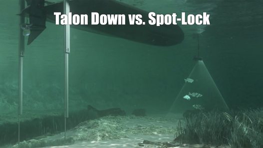 Talon Down vs. Spot-Lock