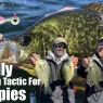 Swimming Jigs for Crappies