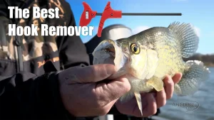 Hook Removal