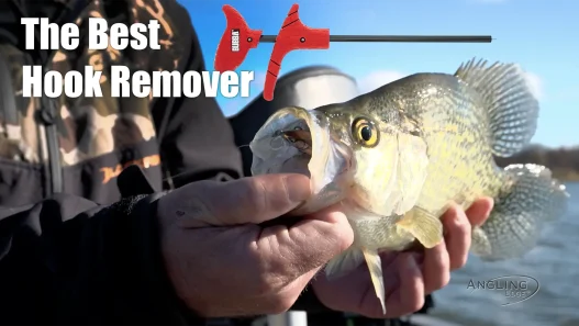 Hook Removal