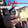 Hook Removal