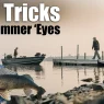 Lake Vermilion Walleyes