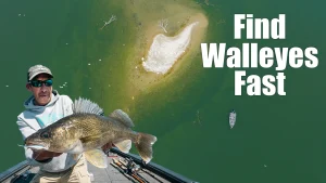 Find Walleyes