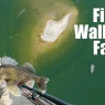 Find Walleyes