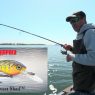 Harvest Shad