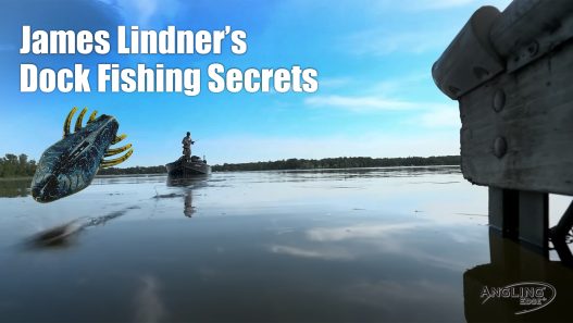 Summer Dock Fishing