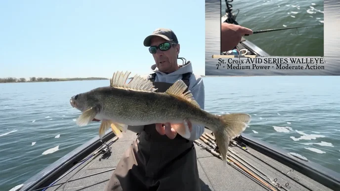 Casting Shad Baits