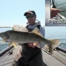 Casting Shad Baits