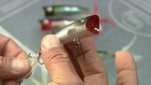 Topwater Baits
