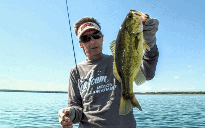 Finesse Tactics for  Bass