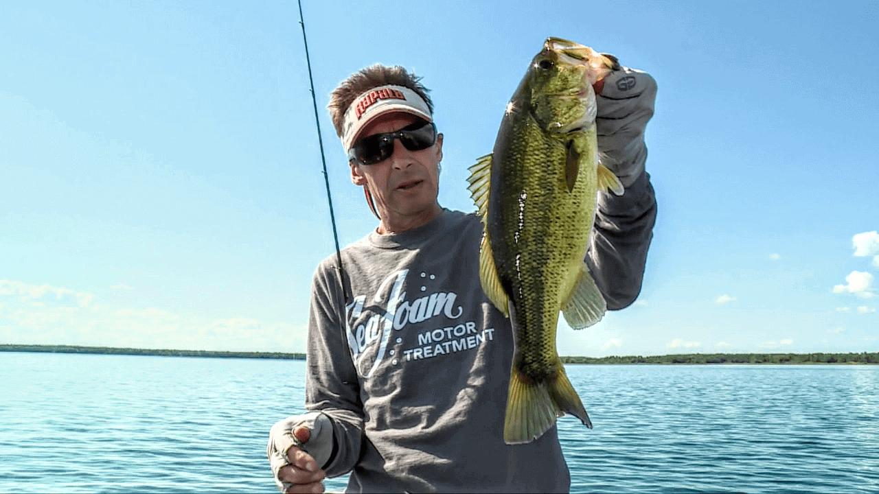 Finesse Tactics for Bass
