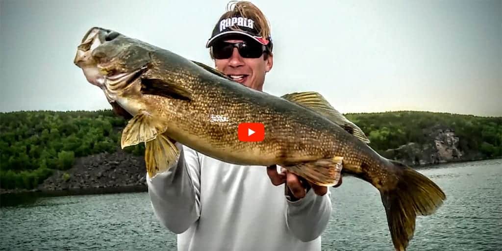 WALLEYE Angling Edge