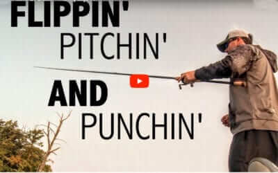 Flipping, Pitching and Punching Bass