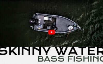 Skinny Water Bass
