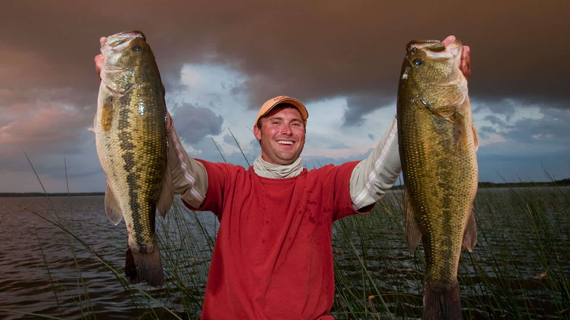 Five Favorite Baits for Summer Bass