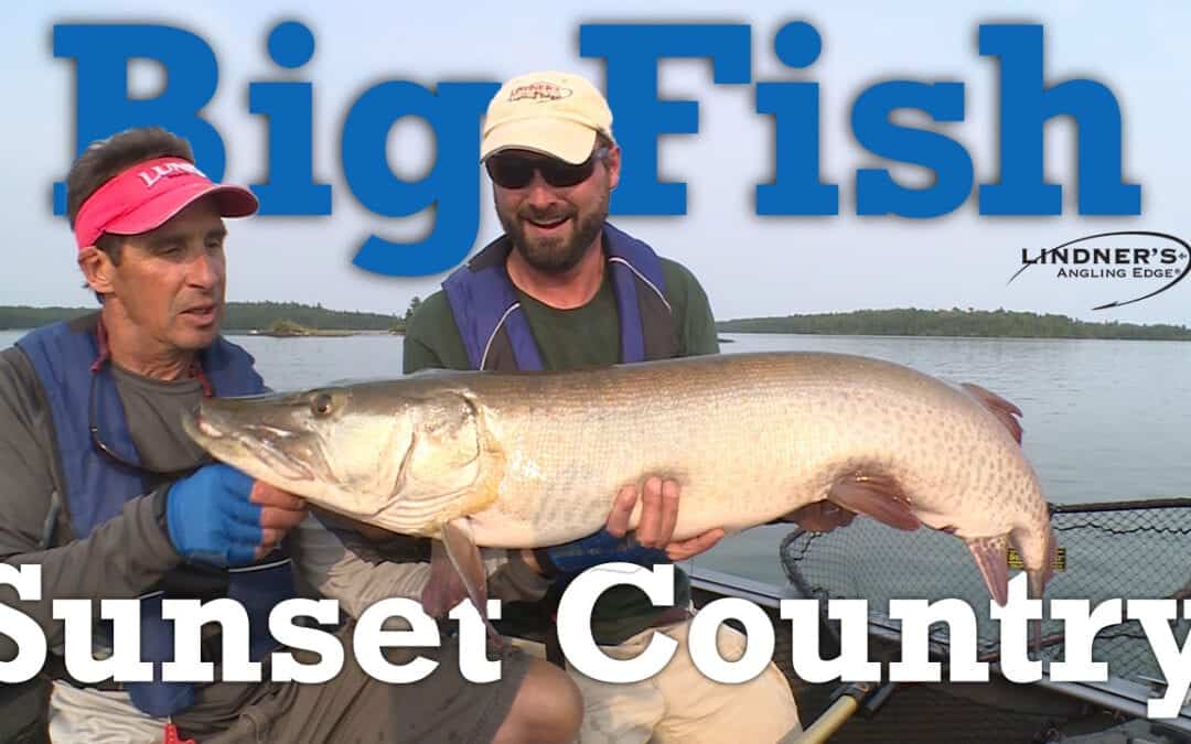 Big Fish in Sunset Country