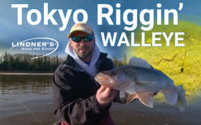 Tokyo Rigging Walleye