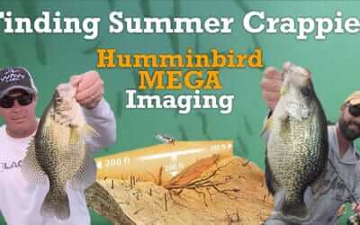 Finding Summer Crappies: Humminbird MEGA Imaging