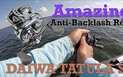 Amazing Anti-Backlash Baitcasting Reel — Daiwa Tatula SV-TW