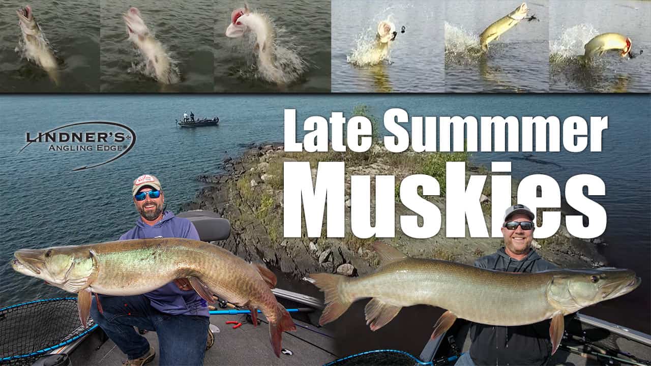 Late Summer Muskie