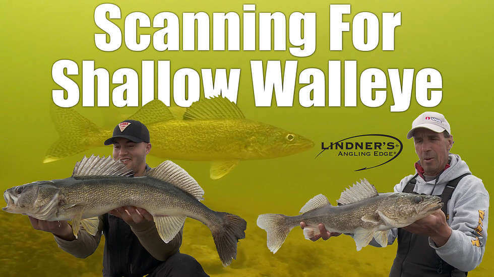 WALLEYE Angling Edge